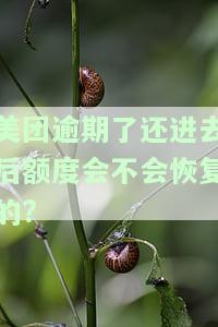 美团逾期了还进去后额度会不会恢复的?