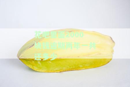 花吧里面2000块钱逾期两年一共还多少