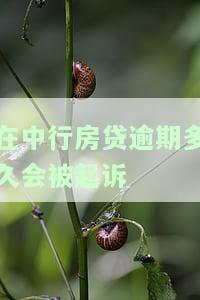 中行房贷逾期几个小时上征信？逾期几天打电话确认？