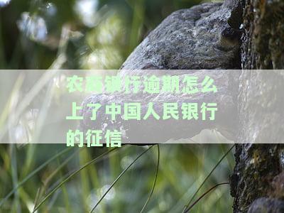 农商银行逾期过一次就不能贷款了吗，农商银行逾期一次就不能再贷款？揭秘银行贷款政策