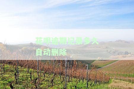 花呗逾期多久会上征信名单？逾期时间和个人征信影响？