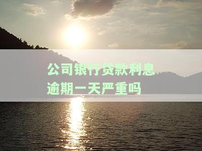 公司银行贷款利息逾期一天严重吗怎么办？