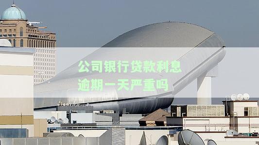公司银行贷款利息逾期一天严重吗，逾期后果