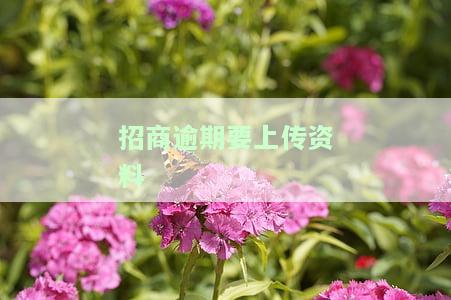 招商逾期要上传资料怎么办？