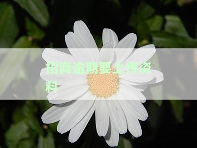 招商逾期上传资料是干啥的，如何恢复征信