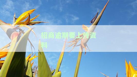 招商逾期要上传资料-招商逾期要上传资料怎么办
