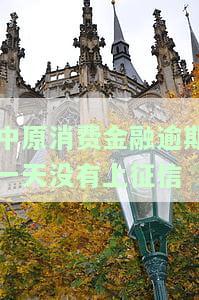 中原消费金融逾期一天要紧吗？逾期一天立马还款是否影响征信？逾期一个月会被强制吗？