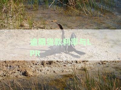 逾期贷款利率与LPR
