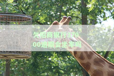 欠招商银行37000逾期会坐牢吗怎么办？
