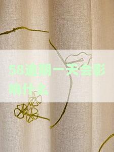 58逾期一天会影响什么征信记录