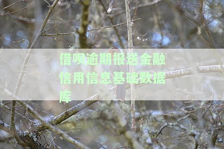 借呗逾期报送金融信用信息基础数据库