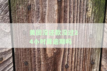 美团没按时还款逾期影响征信，起诉利息及后果，支付宝花呗冻结原因