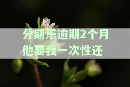 分期乐逾期两个月,影响征信并可能被起诉，如何应对？