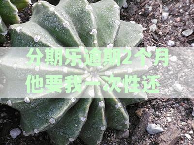 分期乐逾期2个月还进去以后还能继续借款吗——合规解析