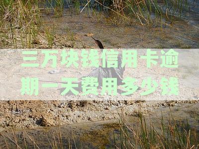 三万块钱信用卡逾期一天费用多少钱