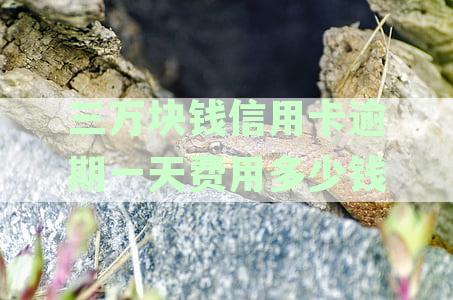 3万信用卡逾期一年要还多少利息及滞纳金？