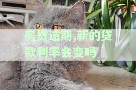 房贷逾期,新的贷款利率会变吗为什么还不了