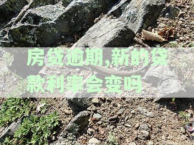 房贷逾期后利率会涨吗？2021年逾期利息最新规定