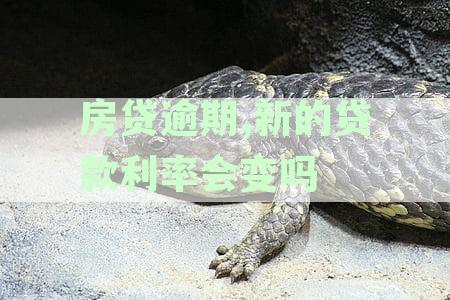 房贷逾期,新的贷款利率会变吗