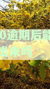 360逾期后能再借出来吗知乎，关闭方法