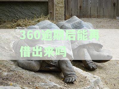 360逾期了还能借吗？逾期后果、征信影响、恢复时间、坐牢风险