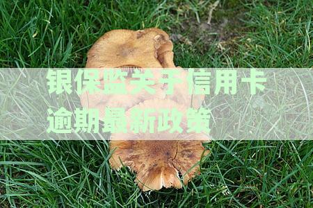 银保监关于信用卡逾期最新政策的通知