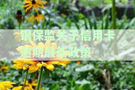 银保监关于信用卡相关规定通知