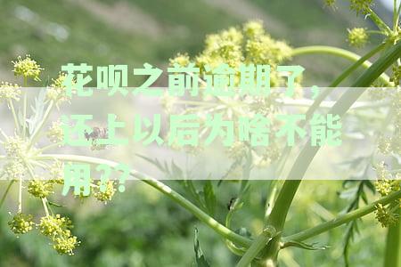 花呗之前逾期了,还上以后为啥不能用??