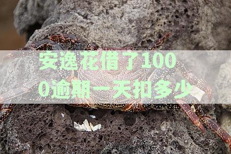 安逸花借了1000逾期一天扣多少利息及罚息