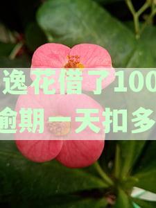 安逸花逾期一天后果及奖励