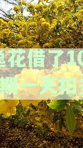 安逸花逾期一天要紧吗？逾期费用、征信影响及再借情况
