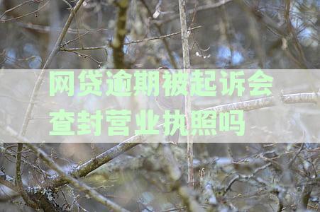 网贷被诉讼会影响工作吗？应对策略及解决方案