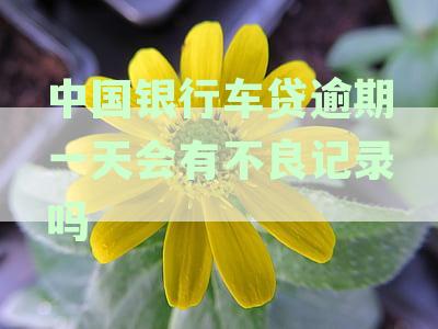 中国银行车贷逾期一天会有不良记录吗