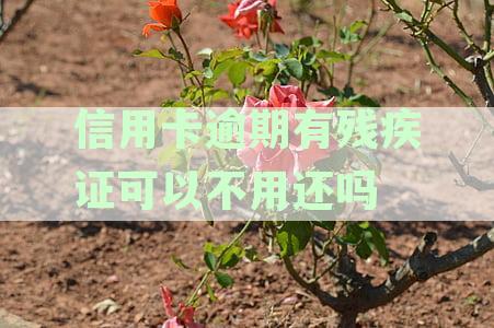 欠信用卡但已残疾，如何处理？