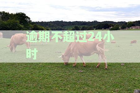 逾期不超过24小时会影响征信吗？怎么办？