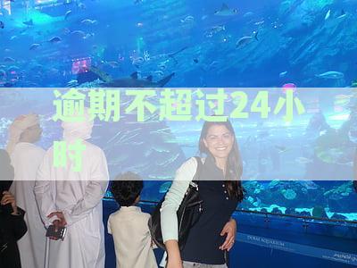逾期不到24小时上征信影响
