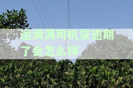 运满满司机贷属于网贷吗，下款流程，申请条件，利息高否