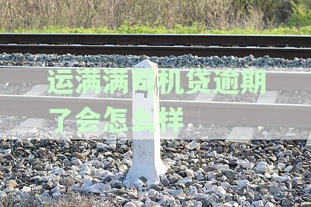 运满满司机贷借款流程详解及注意事