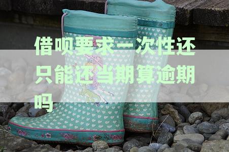 借呗要求一次性还只能还当期算逾期吗