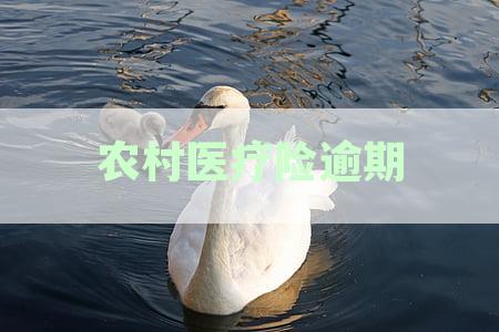农村医疗险逾期怎么办理手续
