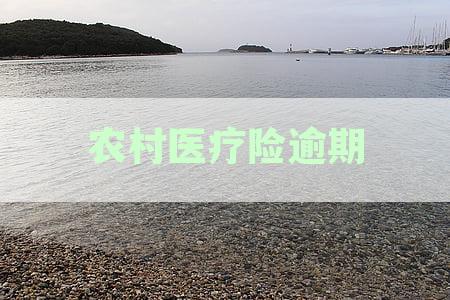 农村医保逾期可以补交吗？如何补交及费用？