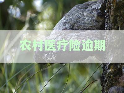 农村医保逾期3个月未交费怎么办？