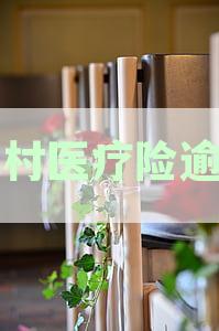 农村医疗险逾期