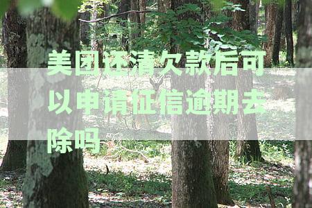 美团还清欠款后可以申请征信逾期去除吗知乎解答