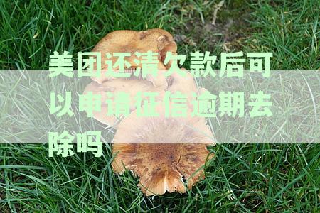 美团平台逾期的钱还清了征信报告上还会显示逾期吗？