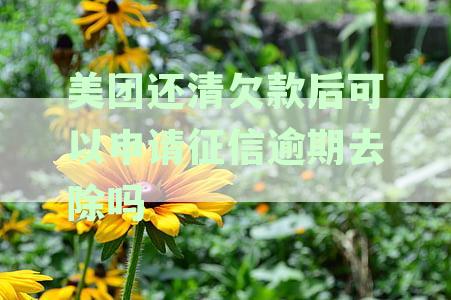 美团还清欠款后可以申请征信逾期去除吗