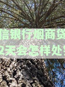 中信银行烟商贷要求条件