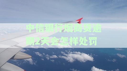 中信银行烟商贷逾期2天会怎样处罚