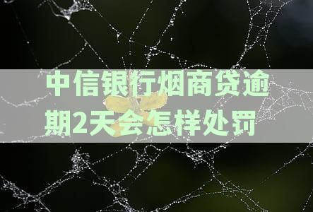 中信银行贷款逾期了怎么办？