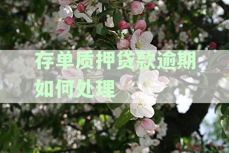 存单质押逾期后能自动扣款吗？如何应对银行扣款程序？